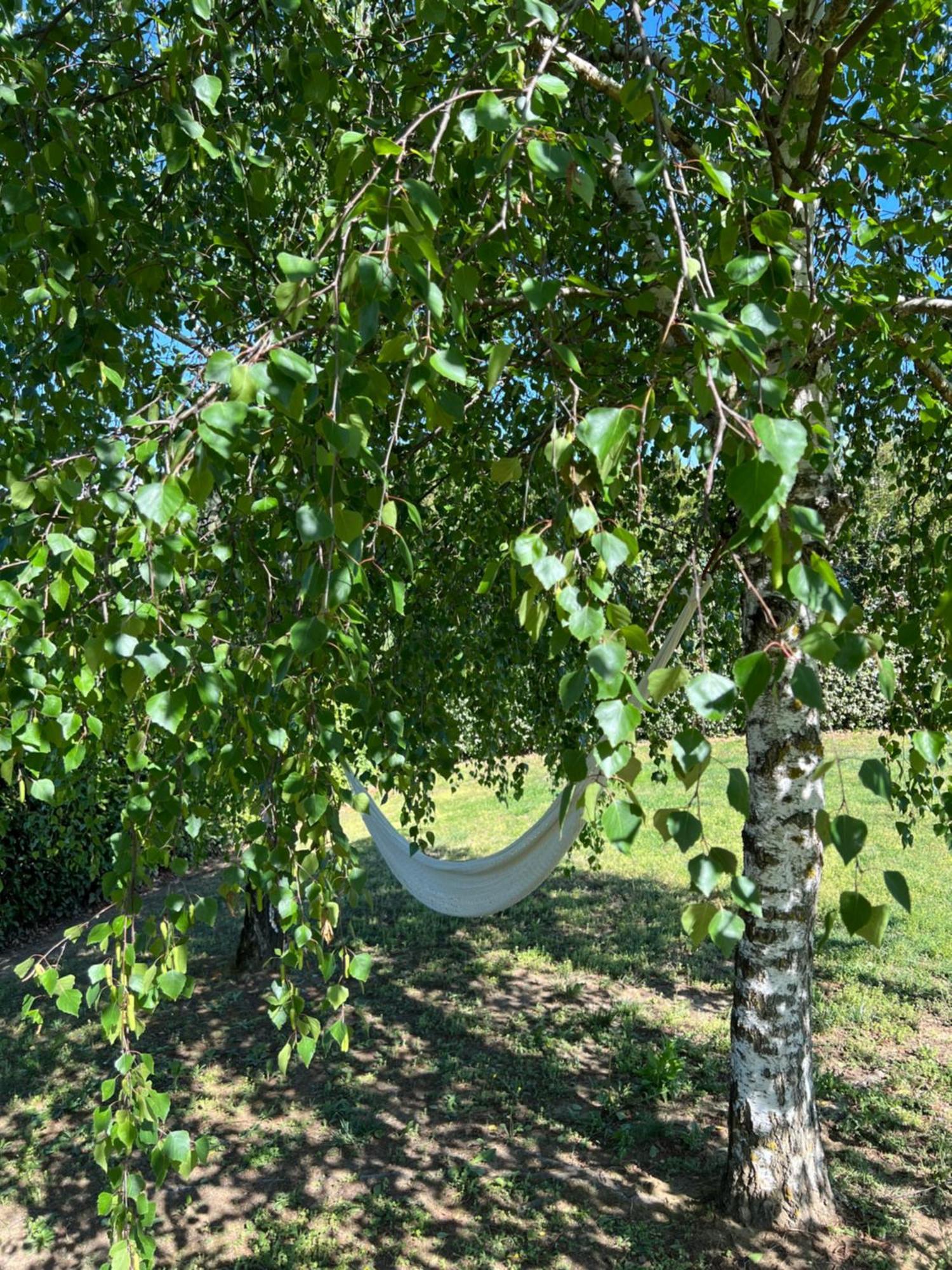 Cascina Il Volo Bed & Breakfast Moncalvo Dış mekan fotoğraf